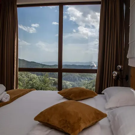 Hotel Ana
