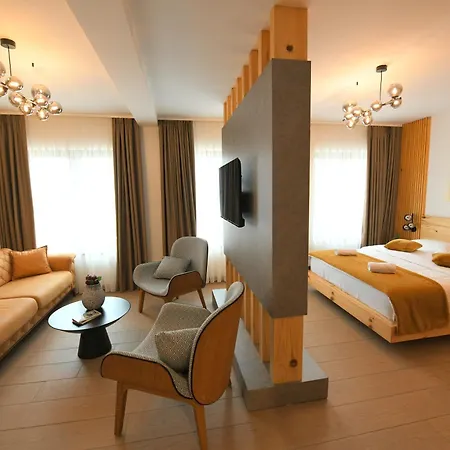 Ana Hotel
